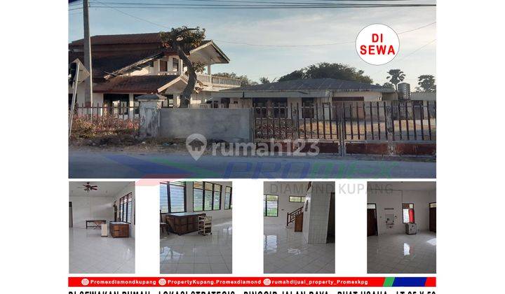 Di Sewakan Rumah Lokasi Strategis , Pinggir Jalan Raya , Cocok Buat Bisnis Area Oesapa , Jl Timor Raya 25 A Kota Kupang Ntt 1