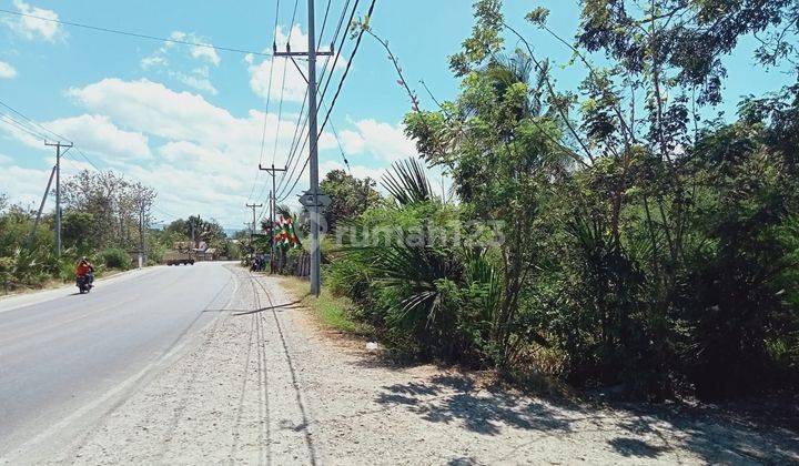 Di Jual Tanah Lokasi Strategis, Pinggir Jalan, Cocok Buat Bisnis Area Jl Bajawa Kota Kupang Ntt 2