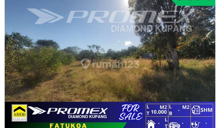 Di Jual Tanah Lokasi Strategis Area Fatukoa Kota Kupang Ntt 1