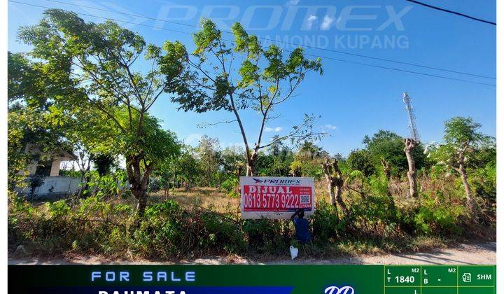 DI JUAL TANAH MURAH LOKASI STRATEGIS BAUMATA KOTA KUPANG NTT 1