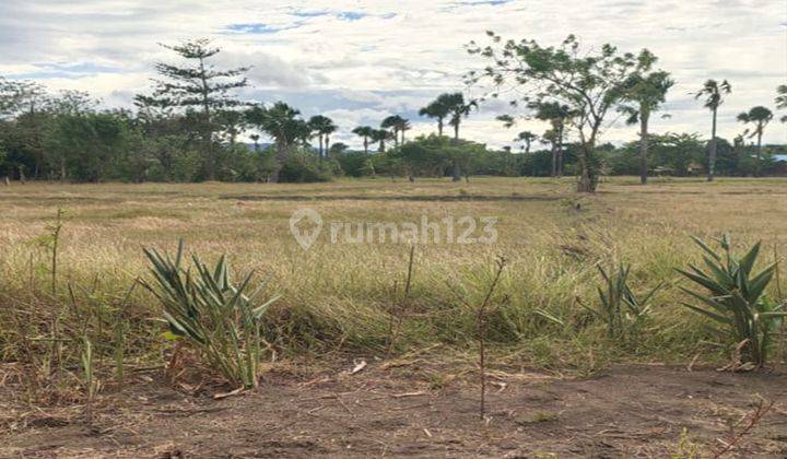 DI JUAL TANAH MURAH LOKASI STRATEGIS DAERAH PUKDALE KOTA KUPANG NTT 2