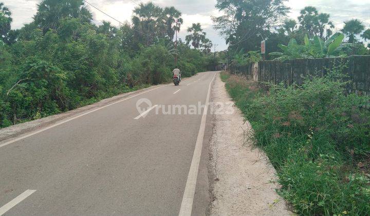 DI JUAL TANAH LOKASI STRATEGIS COCOK UNTUK BISNIS AREA PENFUI TIMUR KOTA KUPANG NTT 1