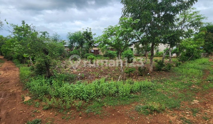 DI JUAL TANAH MURAH LOKASI STRATEGIS TANAH RATA POSISI HOOK AREA MATANI KOTA KUPANG NTT DI JUAL TANAH MURAH LOKASI STRATEGIS TANAH RATA POSISI HOOK AREA MATANI KOTA KUPANG NTT