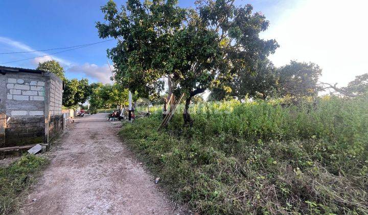 DI JUAL TANAH SUPER STRATEGIS LOKASI BISNIS ALAK TANAU KOTA KUPANG NTT 1