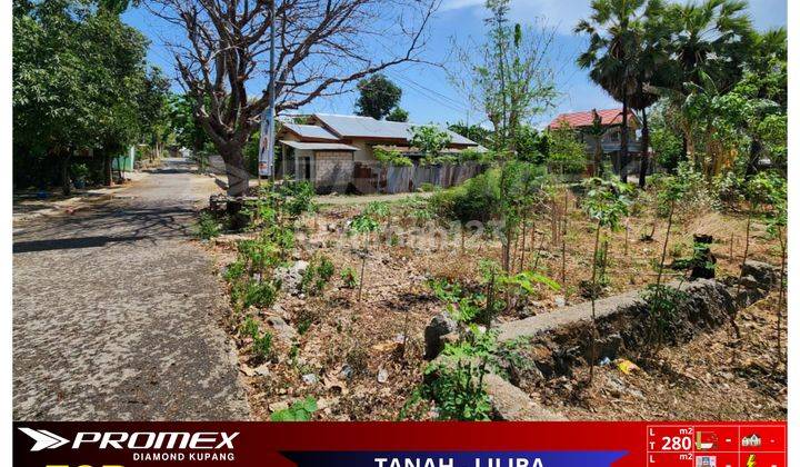 Di Jual Tanah Murah Lokasi Stratgeis Cocok Buat Bisnis Dan Investasi Area Liliba Kota Kupang Ntt 1