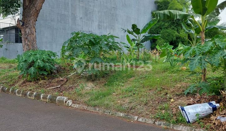 Quick Sale Price Drop for Menteng Plots in Bintaro Sector 7