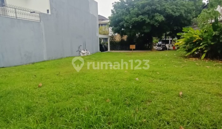 Kavling Luas Siap Bangun di Kebayoran Bintaro Sektor 7 Kavling Luas Siap Bangun di Kebayoran Bintaro Sektor 7