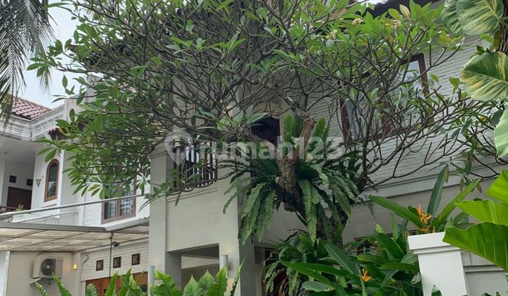 Nice Tropical Garden Concept House in Sector 8 Bintaro Jaya 2