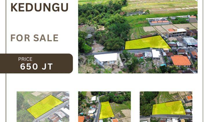 (G59) Best Location For Land Investment In Kedungu 1