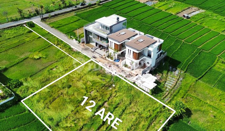 [cc] Tanah Potensial Cocok Untuk Hunian Mewah Pribadi Atau Investiasi Di Nyanyi Beraban Tabanan