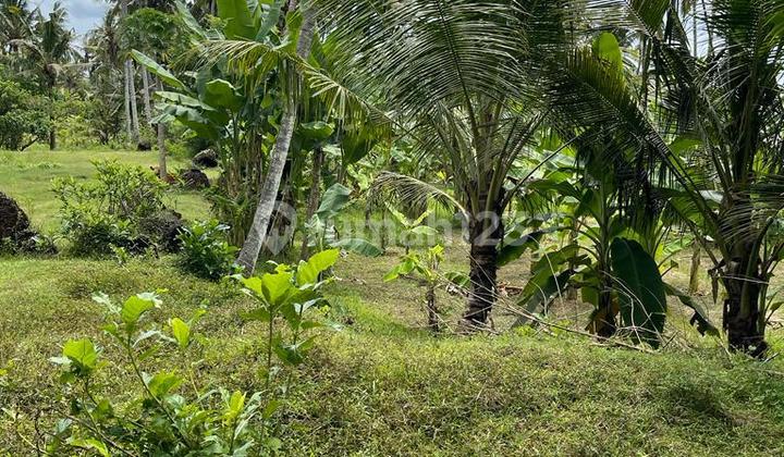 [jn] Tanah Strategis 150 Meter Dari Pantai Saba Cocok Untuk Pensiun