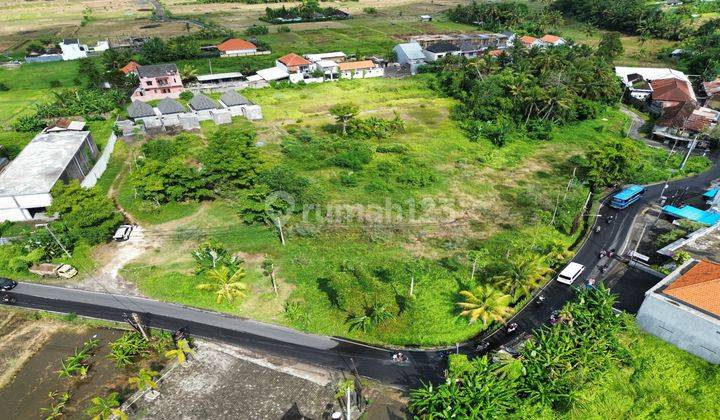 (RA) TANAH SEWA DIJALAN UTAMA BYPASS TANAH LOT  2