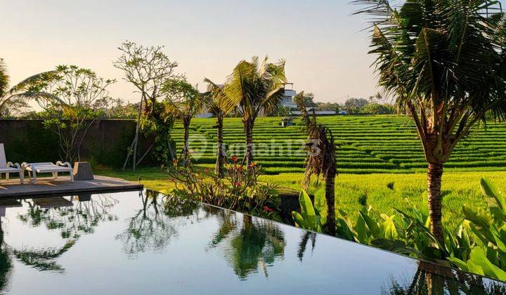 (J1) VILLA DENGAN PEMANDANGAN SAWAH OCEAN GUNUNG JALAN KAKI KE PANTAI CEMAGI  1