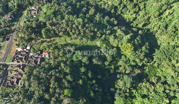 [f97] Tanah View Hutan Cocok Untuk Komplek Villa Dekat Kota Gianyar 1