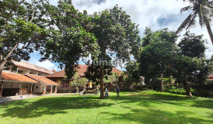 [da] Jarang Ada Rumah Dengan Halaman Luas Cocok Untuk Koleksi Pribadi Saat Pensiun Dekat Ubud 2