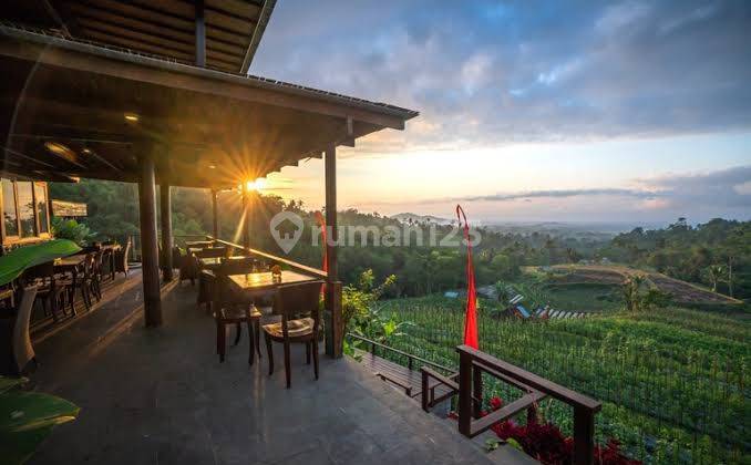 [k63] Villa Diatas Lawan Dengan Pemandangan Fantastis Hamparan Sawah Bukit Dan Gunung Di Baturiti Bedugul  1