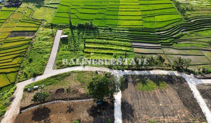 (Ra) Tanah Kavling Luasan Bervariasi Dengan View Sawah Dan Sunset  2