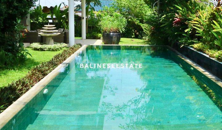 (Pp) Villa Dengan Pemandangan Sawah Cocok Untuk Kamu Miliki Di Tumbak Bayuh Canggu  2