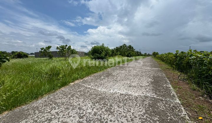 [PJ] Investment Land Near Kedungu Beach