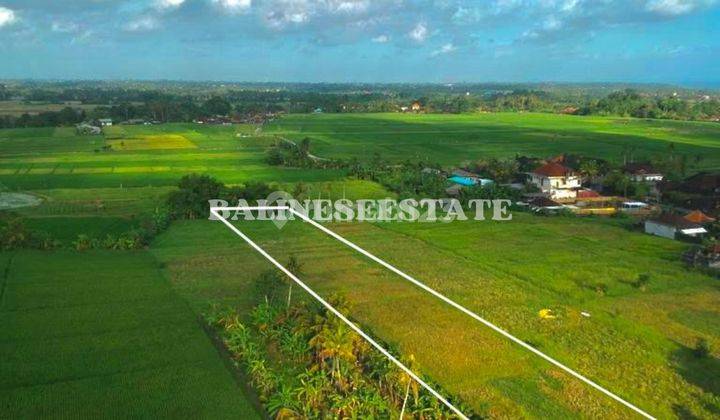 (G91) TANAH HAK MILIK SUDAH ASPEK PERUMAHAN DI JALAN PANTAI KELATING  2