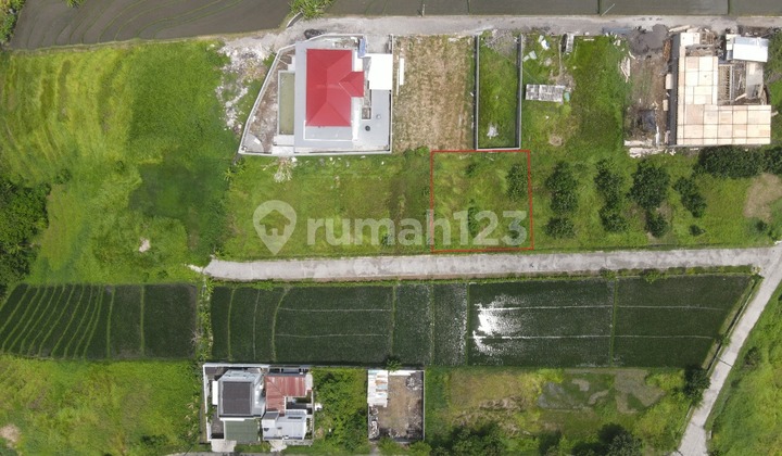 [PJ] Investment Land Near Kedungu Beach