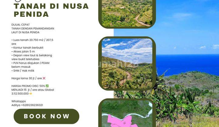 (Npl) Dijual Tanah Dengan Pemandangan Laut Dan Bukit Di Nusa Penida  1