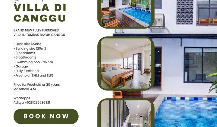 (J50) Brand New Fully Furnished Villa In Tumbak Bayuh Canggu  1