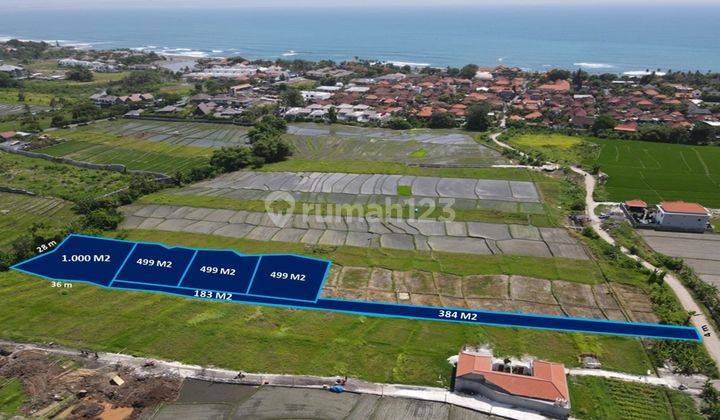 (Nb) Very Good Land Investment Opportunities in Seseh Munggu 2