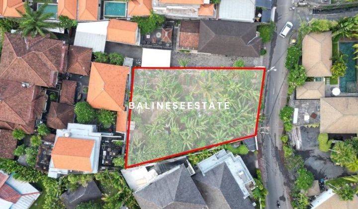 (Pp) Tanah Premium Batubelig Jalan Kaki Ke Pantai Seminyak  2