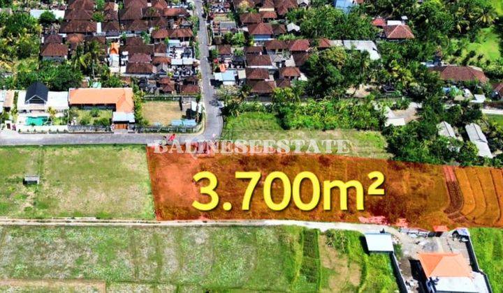 (CC) LAND FOR SALE NEAR KEDUNGU BEACH WITH RICE FIELD VIEW 2