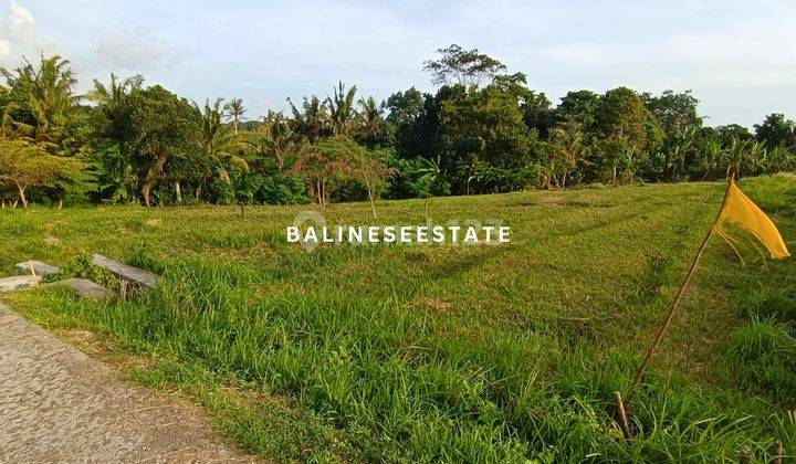 (Dw) Tanah Dikawasan Paling Berkembang Hanya 500 Meter Dari Pantai Kedungu  2