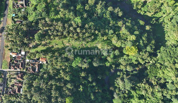 [f97] Tanah View Hutan Cocok Untuk Komplek Villa Dekat Kota Gianyar 2