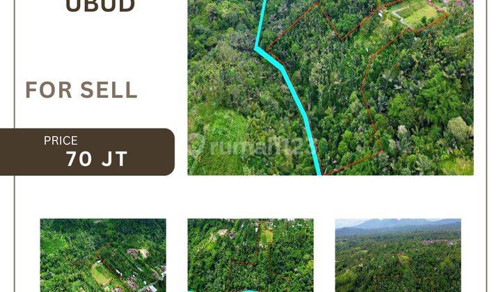 (D15) Premium Land Dengan View Sungai Besar Dan Hutan Di Ubud Payangan  1