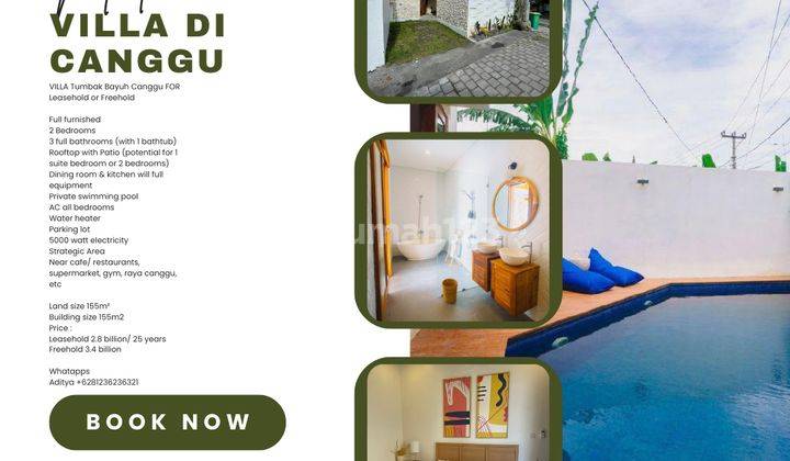 (CC) FULL FURNISHED VILLA CANGGU 2 BR 1