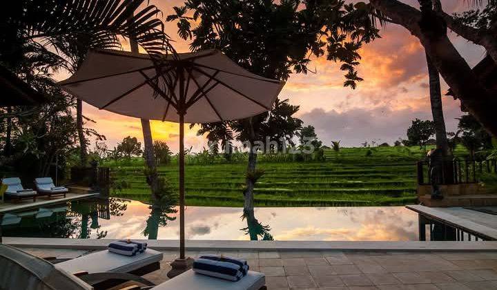 (Kb) Luxurious Villa With Amazing Paddy & Sunset Atmosphere In Canggu  1