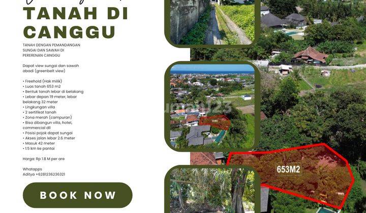 (MM) TANAH DENGAN PEMANDANGAN SUNGAI DAN SAWAH DI PERERENAN CANGGU  1