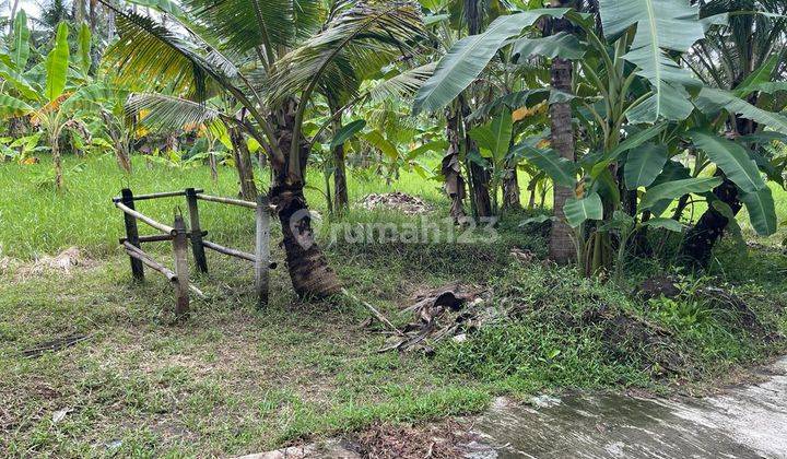 (Jn) Tanah Berlokasi 150 Mter Dari Pantai Saba Gianyar  1