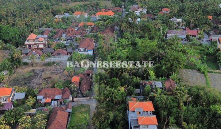 (Jp) Lahan Luasan Kecil Dekat Pantai Saba Bisa Ambil Global Atau Sebagian  2