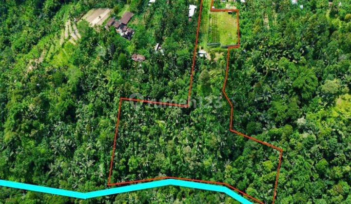 (D15) Premium Land Dengan View Sungai Besar Dan Hutan Di Ubud Payangan  2