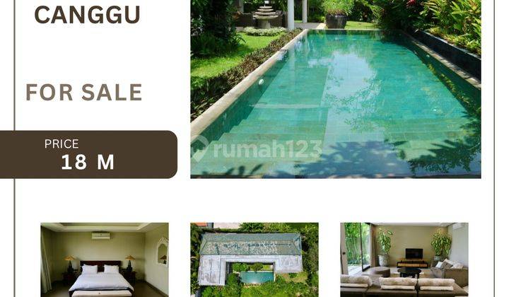 (Pp) Villa Dengan Pemandangan Sawah Cocok Untuk Kamu Miliki Di Tumbak Bayuh Canggu  1