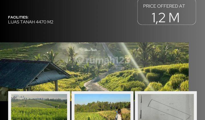 (K11) Investment Land with Rice Field View in Selemadeg Tabanan 1