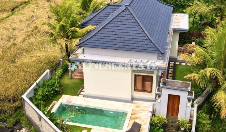 (Kb) Ubud Villa With Rice Field And River View 2