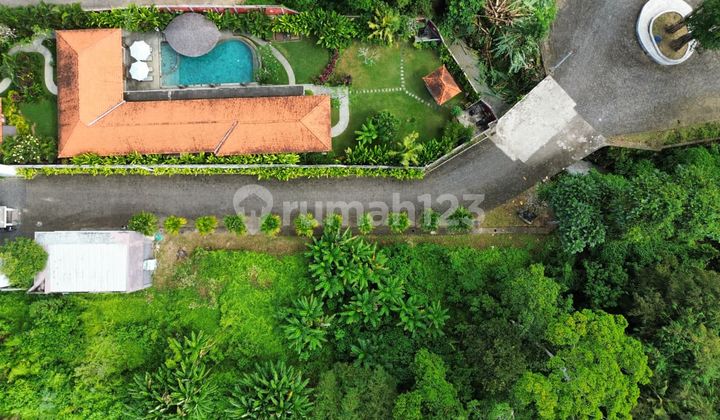 [ra] Tanah Los Sungai View Sawah Di Kedungu