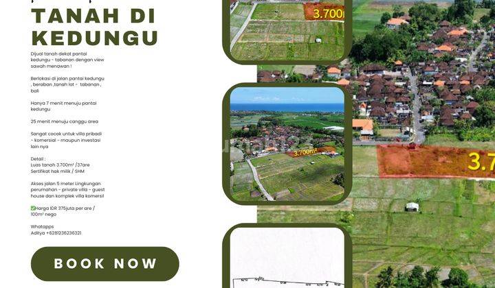 (CC) LAND FOR SALE NEAR KEDUNGU BEACH WITH RICE FIELD VIEW 1