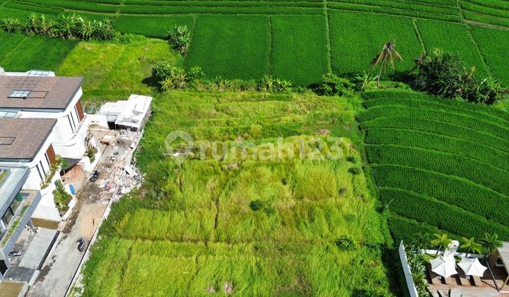 [cc] Tanah Potensial Cocok Untuk Hunian Mewah Pribadi Atau Investiasi Di Nyanyi Beraban Tabanan