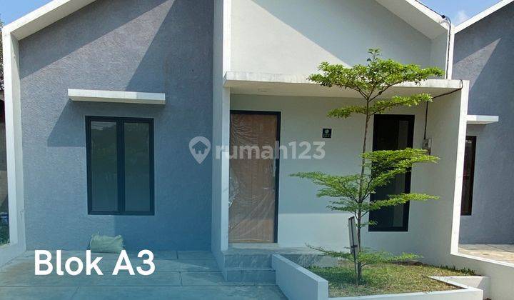 Rumah 1 Lantai Luas Tanah Besar Stok Terbatas 1