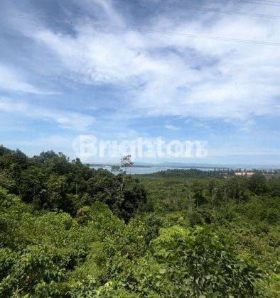 DIjual tanah kariangau tembus pantai balikpapan  1