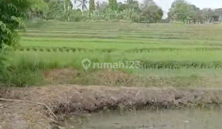 Tanah Di Jln Cepaka, Sertifikat Hak Milik 10 Are 2