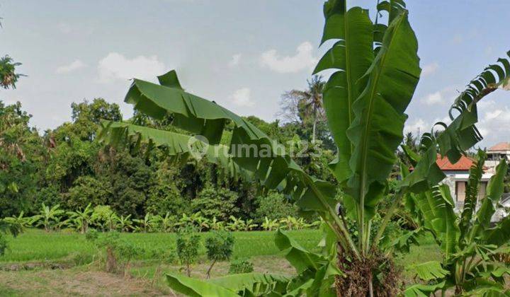 Tanah di tumbakbayuh, Pererenan SHM - Sertifikat Hak Milik 35 are 2