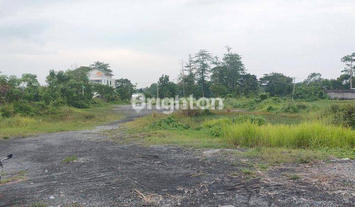 TANAH SAWAH DENGAN AKSES JALAN LEBAR DI PASURUAN JAWA TIMUR 2